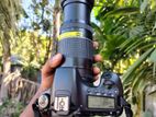 Canon 60D with 75-300 Zoom lens