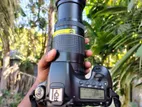 Canon 60D with 75-300 Zoom lens