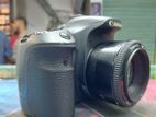 Canon 60D + YN 50mm IS 1.8 Lens