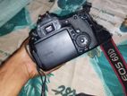 Canon 60D+75-300 f1.4 zoom lens