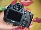 Canon 6D