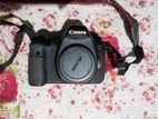 Canon 6D full frame body