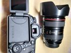 Canon 6d Mark Ii & Leans 24-105 Mm