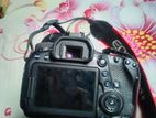 Canon 6d Mark ii Camera