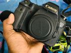 Canon 6D with 24-105 f4