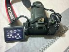 Canon 700 D with 18-55 MM STM kit lense