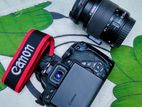 Canon 700d with 18-55 Stm Lens