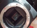 Canon 70D & 50mm prime lens