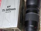 Canon 75-300 Zoom Lens