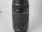 Canon 75-300 Zoom Lens