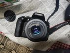 Canon 750d, 50 mm stm lens, Tamron 17-50mm, 3 Battery, charger.