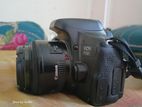 Canon 750D with prime lens