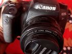 Canon 77d