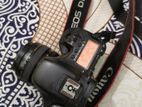 canon 7D (only body)