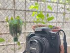 Canon 800D with 1.5 prime lens