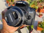 Canon 800d with 50mm Prime lens