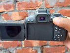 Canon 800d With 50mm Stm Prime Lens Full Fresh