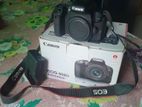 Canon 800D with Box