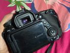 canon 80D body