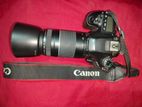 Canon 80D Camera with 75-300 mm lens