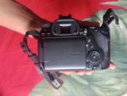 Canon 80d Camera