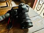 Canon 80D with 18-135 mm lens