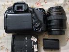 Canon 80d with 85mm Lans বিক্রি হবে