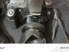Canon Dslr d60