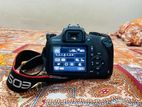 canon eos 1200d only body