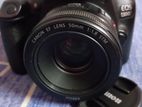 CANON EOS 1300D with 50mm STM Prime Lens