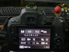 canon eos 200d (only body)