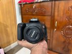 Canon EOS 250D with 18-55 mm & 50 STM Lenses + Accessories for sale