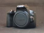 Canon EOS 250D With box Camera available