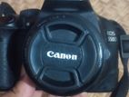 Canon eos 550D and 50 mm prime lens
