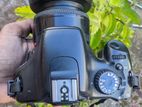 Canon EOS 550D With 50mm Prime lense