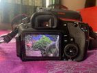 Canon EOS 60D, 18-200kit lens (Stabilization)