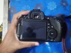 canon eos 60D