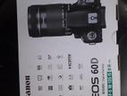 Canon eos 60d with 50 mm Stm prime lens