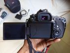 Canon Eos 60d With Prime Lens