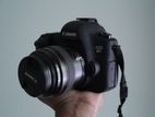 Canon EOS 6D with 85mm