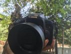 Canon EOS 750D With 50mm Stm Prime Lens