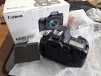 Canon eos 80d body 100% orginal