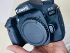 Canon EOS 80D Camera