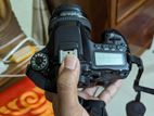 Canon Eos 80d with 50mm f1.4 lens
