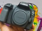 Canon EOS 80D with Box Available ( Only Body)