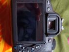 Canon Camera