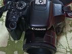 Canon Kissx8i/800d with 2 lens