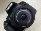 Canon T7i aka 800D with 24mm Lens