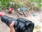 canon1200d 75-300 lens