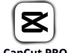 CapCut Pro License Available 🔥
